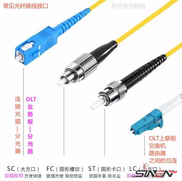 POL全光网络(pic5)